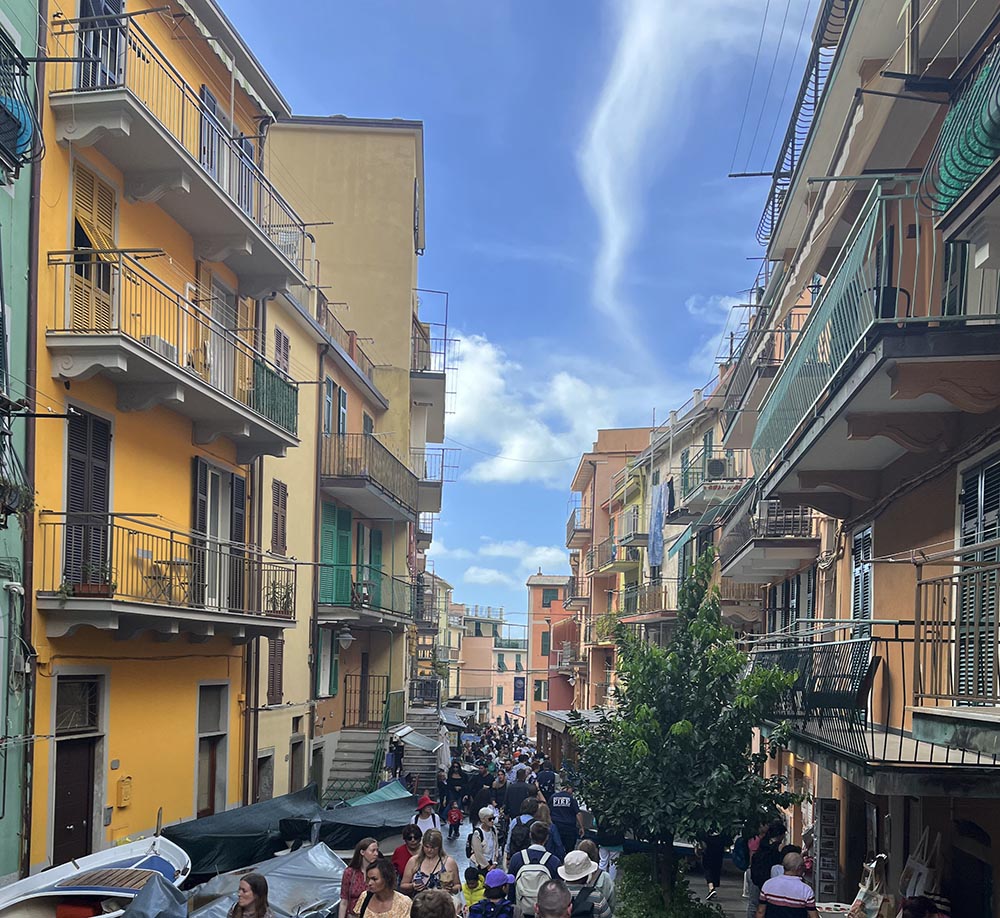 Plan Your next Trip with the Travel Rooster